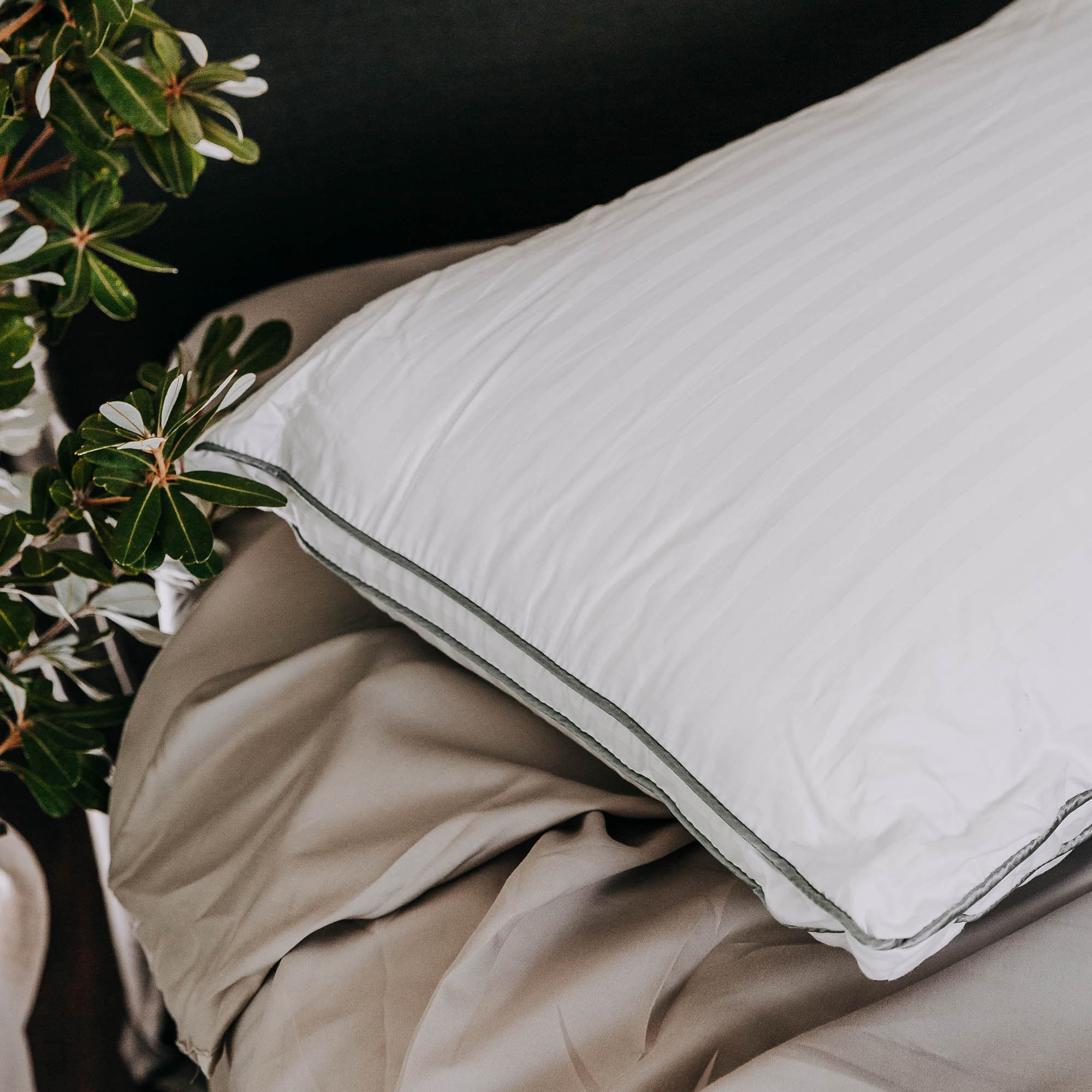 Lifestyle image of the Bambi Moodmaker Superior Pillow from Forty Winks