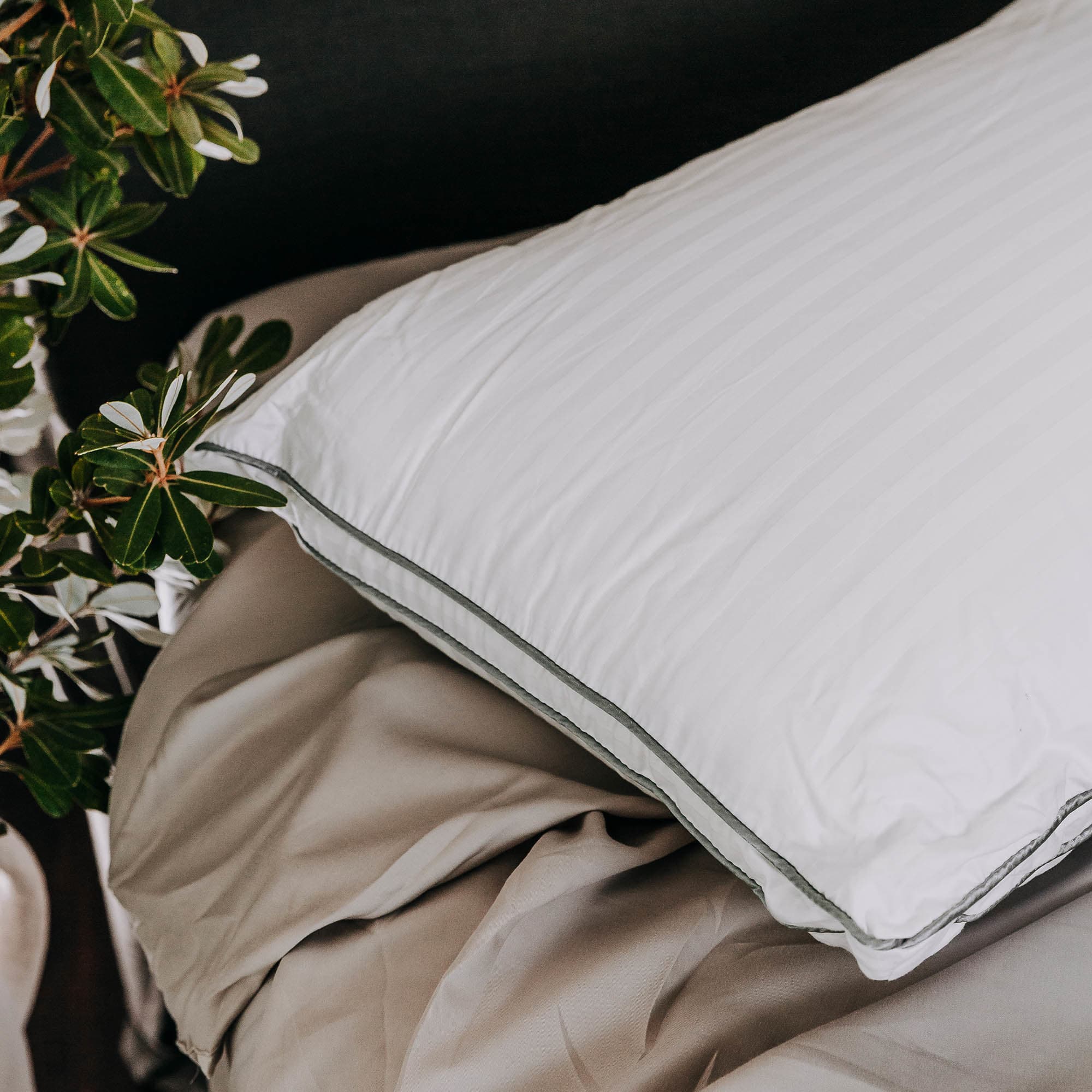 Lifestyle image of the Bambi Moodmaker Superior Pillow from Forty Winks